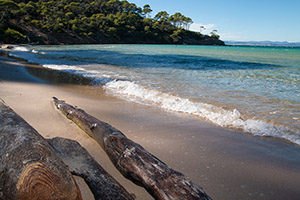 Balade photo naturaliste Porquerolles