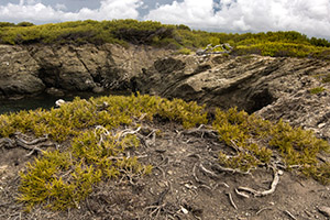 balade photo scientifique presquile du gaou