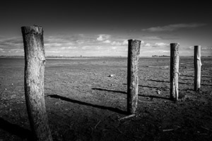 stage photo personnalise